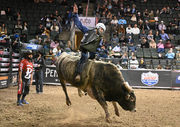 CEDAR PARK, TX - JANUARY 16: Grayson Cole rides Oreo during the  Professional Bull Riders Tour Cedar Park Chute Out on January 16, 2021 at  the H-E-B Center in Cedar Park, TX. (