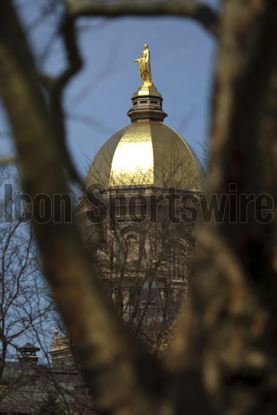 Licensed Sports Photos Buy Affordable Images Icon Sportswire