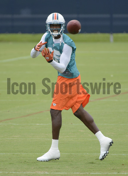 Miami Dolphins guard Robert Jones warms up during a mandatory minicamp at  the NFL football team's training camp, Wednesday, June 16, 2021, in Davie,  Fla. (AP Photo/Wilfredo Lee Stock Photo - Alamy