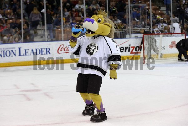 Manchester Monarchs: News