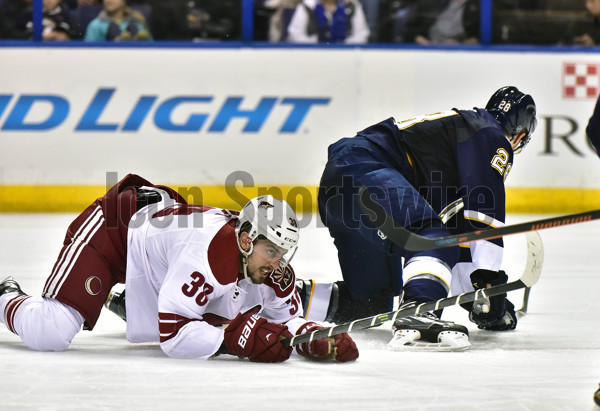 Coyotes Blues Hockey, National