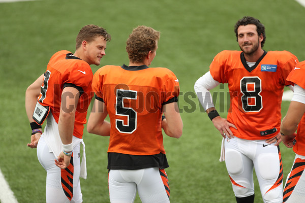 Cincinnati Bengals quarterback Ryan Finley (5) throws a pass during NFL  football training camp, Monday, July 29, 2019, in Cincinnati. (AP  Photo/Bryan Woolston Stock Photo - Alamy