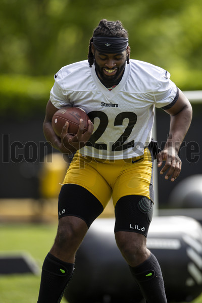 PITTSBURGH, PA - MAY 25: Pittsburgh Steelers running back Najee