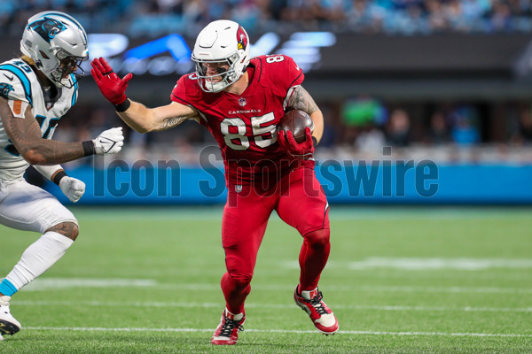 Arizona Cardinals vs Carolina Panthers - October 02, 2022