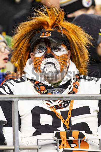 PITTSBURGH, PA - NOVEMBER 20: A photo of a Cincinnati Bengals