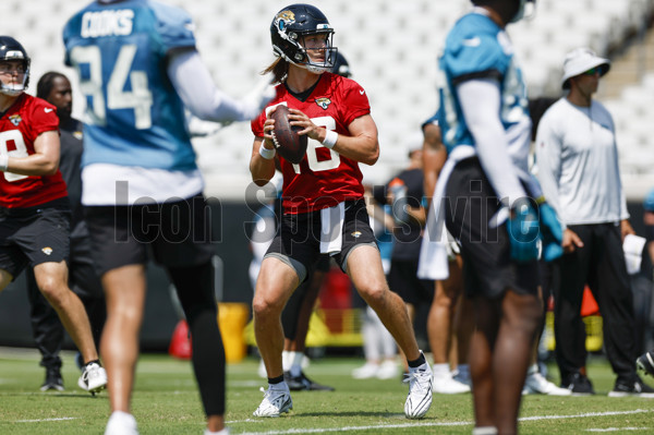 Jacksonville Jaguars wide receiver Elijah Cooks (84) during the