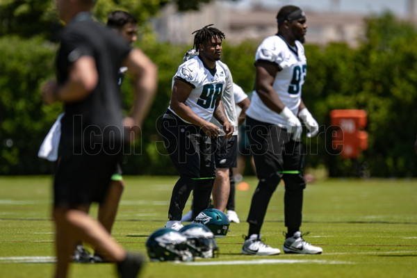 Philadelphia Eagles wide receiver Joseph Ngata (86) in action