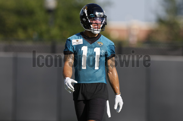 jacksonville jaguars wire