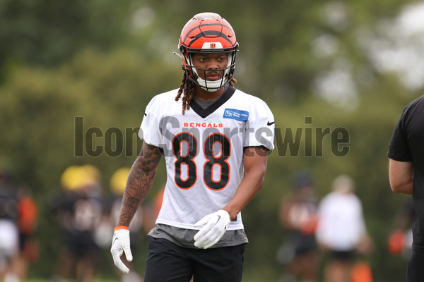 Bengals Training Camp 2023  Cincinnati Bengals 