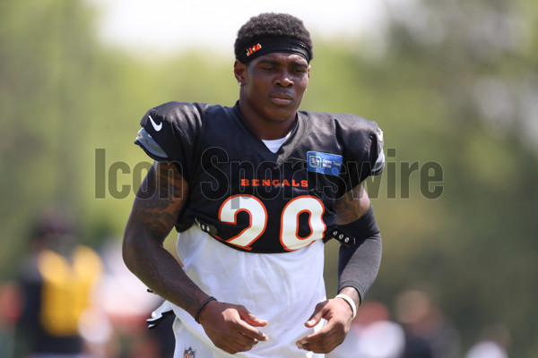 Cincinnati Bengals linebacker Markus Bailey (51) stands during