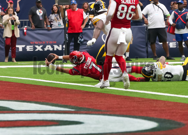 Houston Texans fan in the fourth quarter of an NFL football game against the  Pittsburgh Steelers Sunday, Oct. 2, 2011, in Houston. The Texans won 17-10.  (AP Photo/Eric Gay Stock Photo - Alamy